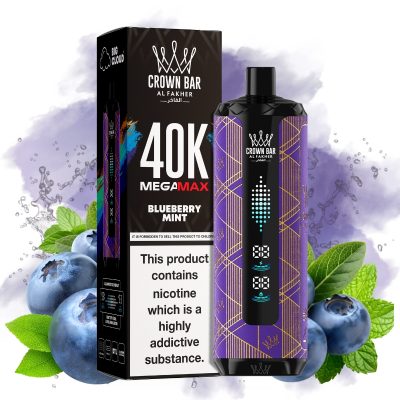 Al Fakher Mega Max 40000 Blueberry Mint - Al Fakher Nederland